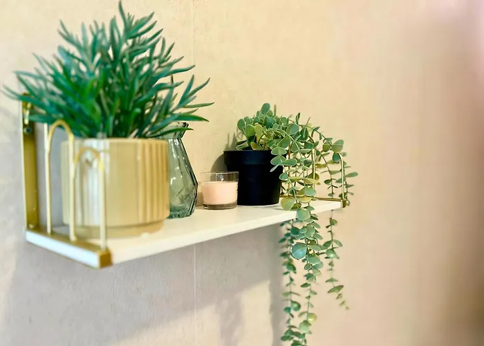 The Cozy Breeze Apartment *